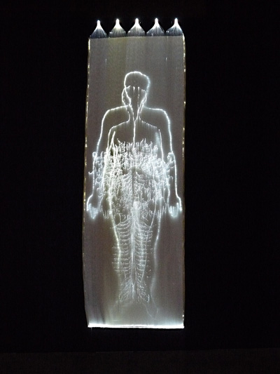 C. Challeau - Voile Dessin de lumière