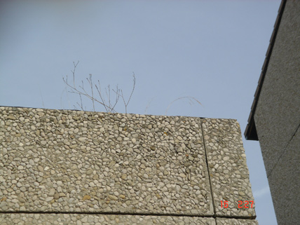 st-paul-1.jpg