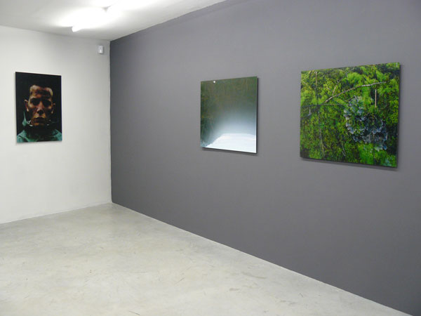 Marine Lanier, artiste en résidence