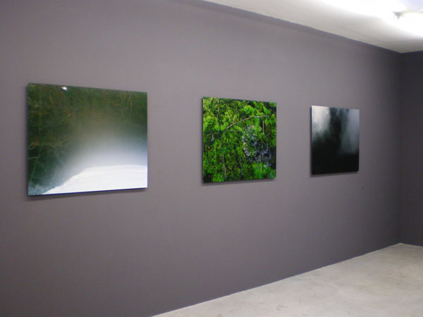 Marine Lanier, artiste en résidence