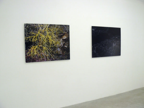Marine Lanier, artiste en résidence