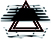 NVF_site-2.jpg
