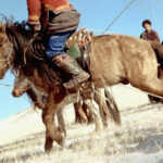 Â©Sophie Hatier, Mongolie