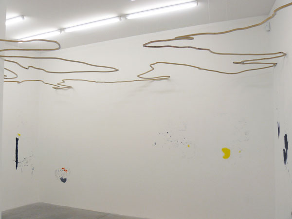 Canyon, 2010