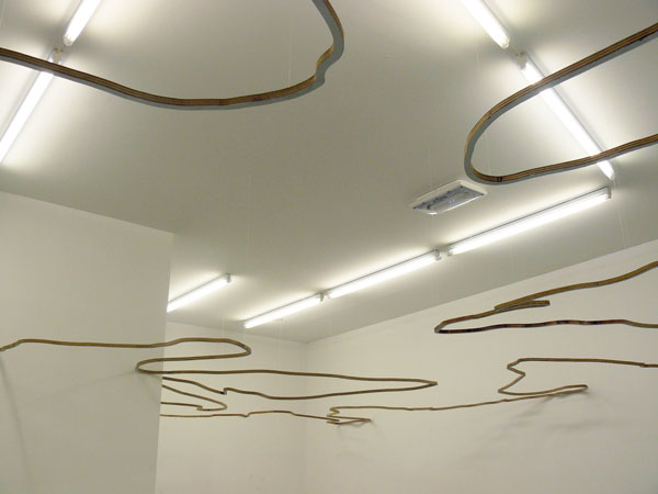 Canyon (détail), 2010