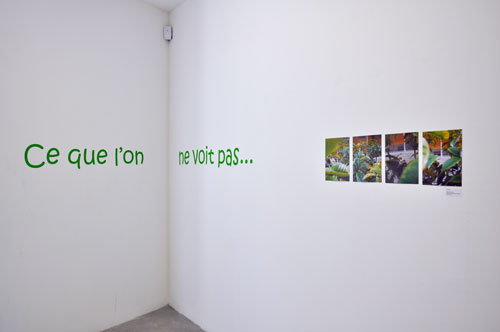 Sophie HATIER, artiste photographe / Elsa BAUVET, professeur de découvertes professionnelles / élèves de 4ème, lycée agricole Tricastin Baronnies