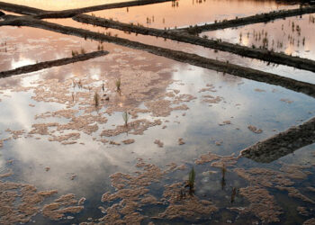 Vernissage de l’exposition « Salines » d’Isabelle MARTINET MILANO