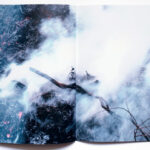 Construire un feu Â© Marine Lanier