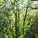 DSC_0756-web.jpg