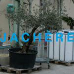 cartdelia-web-2.jpg