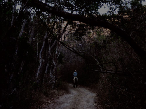©JP Flavien, Sans titre (Cowboy 03), 2011, photo couleur derrière plexiglas teinté, 60x80 cm, Courtesy galerie Catherine Bastide
