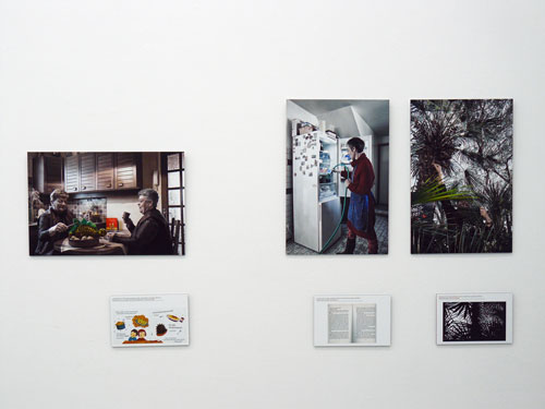 P1110697-cor-web.jpg