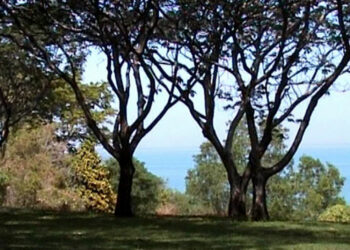 DARWIN – Derniers jours !