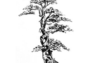 Lecture-déambulation / Angle hors les murs