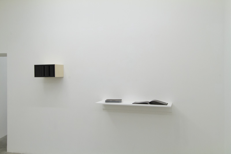 Nicolas Daubanes, "Les livres noirs", 2016 (photo : P. Garcia)