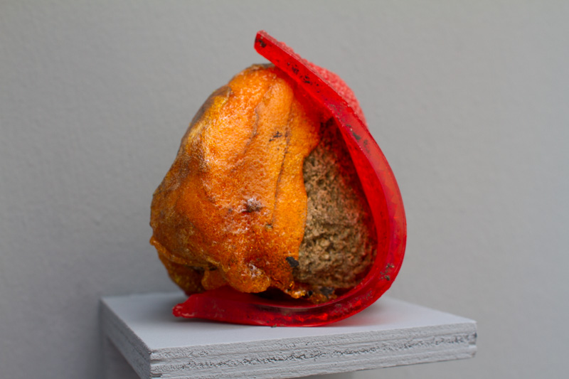 Maxime Sanchez, série "Hybrides", 2016 (photo : P. Garcia)
