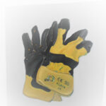 DSCN1285PS3_ImageNewsletter.jpg