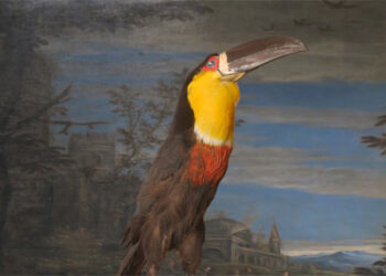 « À mesure que le jour s&rsquo;éteint »